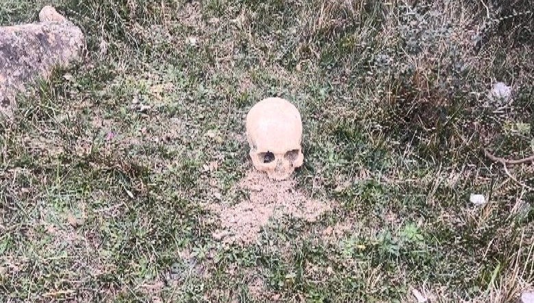 Arnavutköy'de Şok Eden Keşif: İnsan Kafatası Bulundu! 71 arnavutkoyde insan kafatasi bulundu uXhFuE72