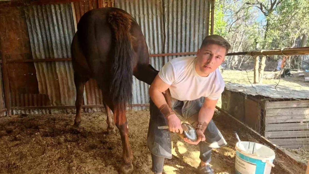 atlara tutkusu nalbantlikla bulustu