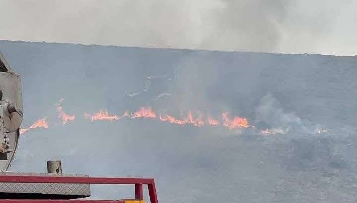 Avşa Adası’nda ormanlık alanda yangın 71 avsa adasinda ormanlik alanda yangin bU6H7PhI