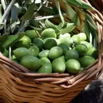 aydin memecik zeytini abde tescillendi nxNAc8AP