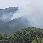 aydinda orman yangini NHbEe4MR