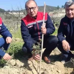 aydinda sakiz fidanlari dikimi tamamlandi pbWe6g3P