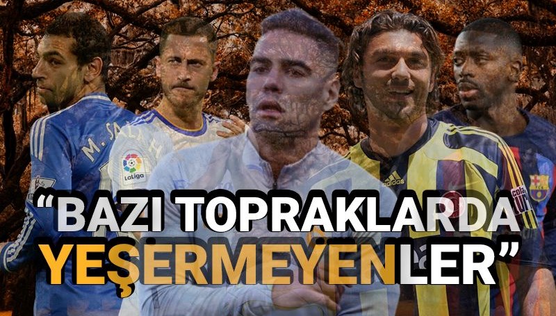 aykut kocamanin bazi cicekler kimi topraklarda olmuyor kelaminin karsiligi olan dunya yildizlari