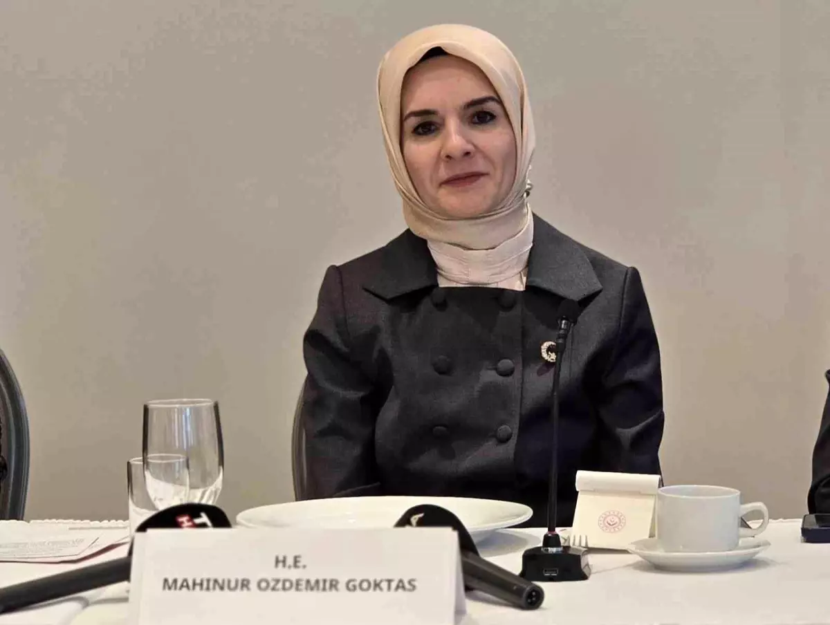 bakan goktas gazze icin bayan ve cocuk haklari vurgusu 9ub4jlze