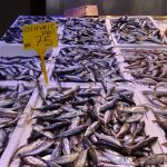 balik donemi sona eriyor 2XrpKBwu