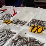 balik fiyatlarinda dusus halka ucretsiz balik yedirdik JvwTKVQr