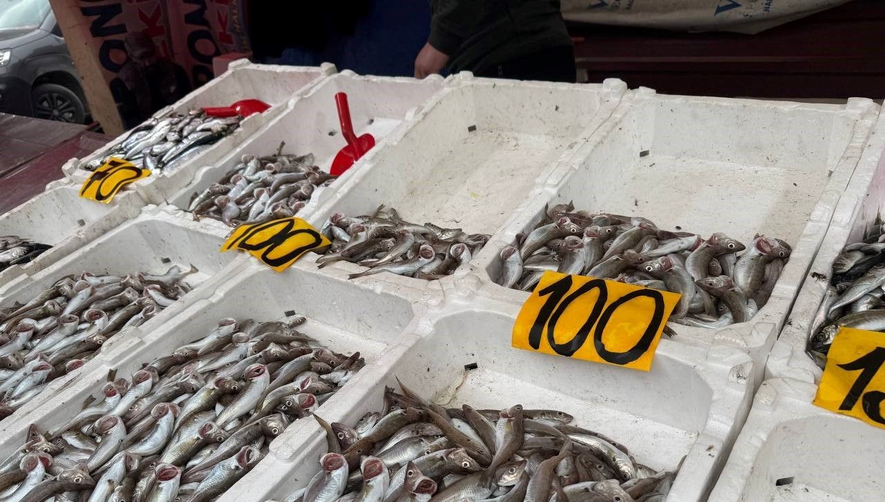 balik fiyatlarinda dusus halka ucretsiz balik yedirdik JvwTKVQr