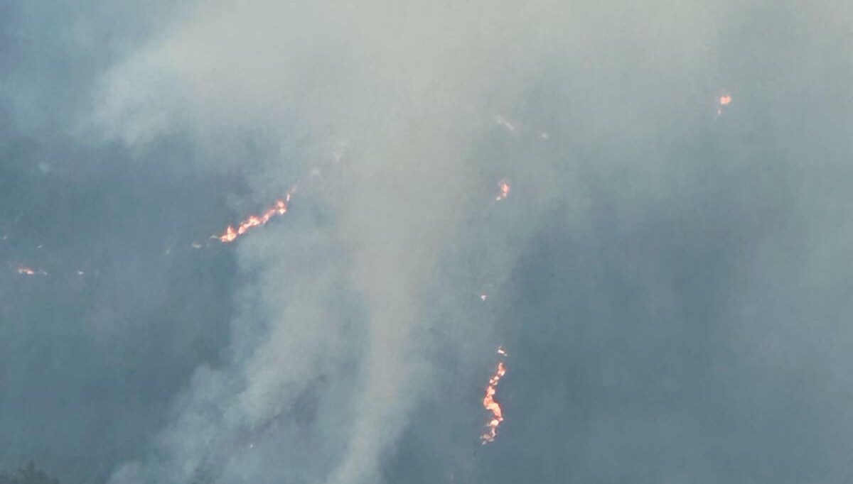 Balıkesir Orman Yangını: Aşıldırma Süreci Etkin! 71 balikesirde orman yangini alevlere mudahale ediliyor m98jz3qk