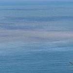 bartin irmagindan akan camurlu suyla denizin rengi degisti H1IISOW6