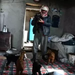 beytussebapta yalniz besici cWSCrysy