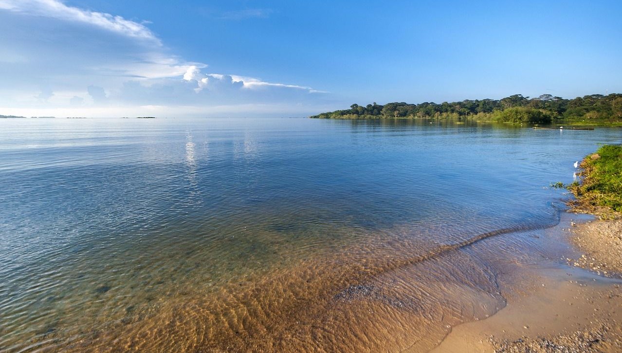 bilim insanlari uyardi viktorya golu yesile donuyor