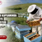 bingolde bayanlardan 9 aricilik projesi zQ9aB6EH