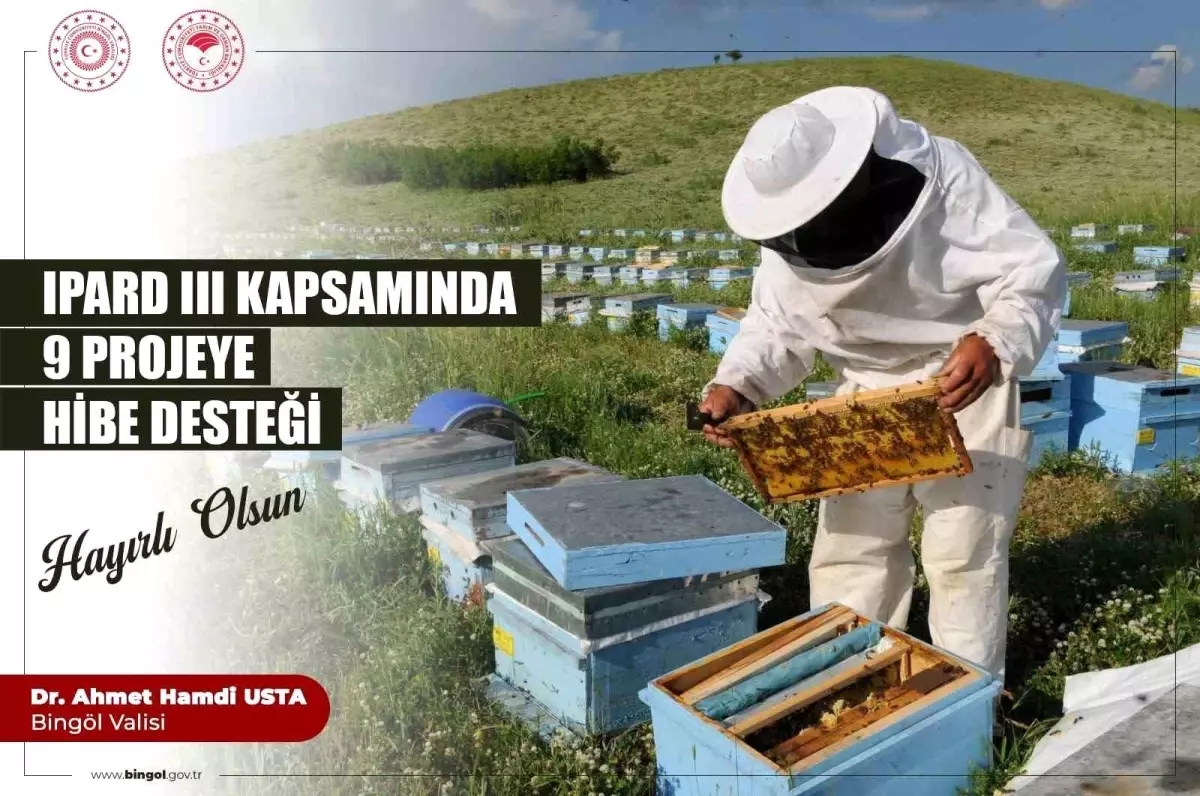 bingolde bayanlardan 9 aricilik projesi zQ9aB6EH