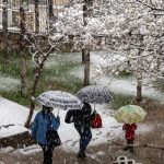 bir karede iki mevsim ilkbaharda kar yagdi 8t7JB4Kf