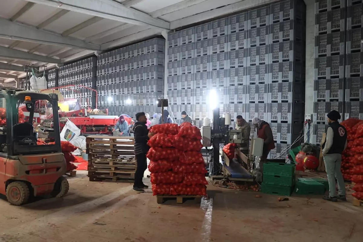 bir tesebbuscu devlet dayanagiyla kurdugu paketleme tesisinde 30 kisiyi istihdam ediyor 5SY7IpLp