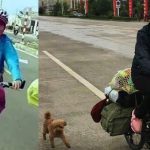 bisikletle dunyayi gezerek depresyonu atlatti artik yirtici bir kurtum MNEuDphu