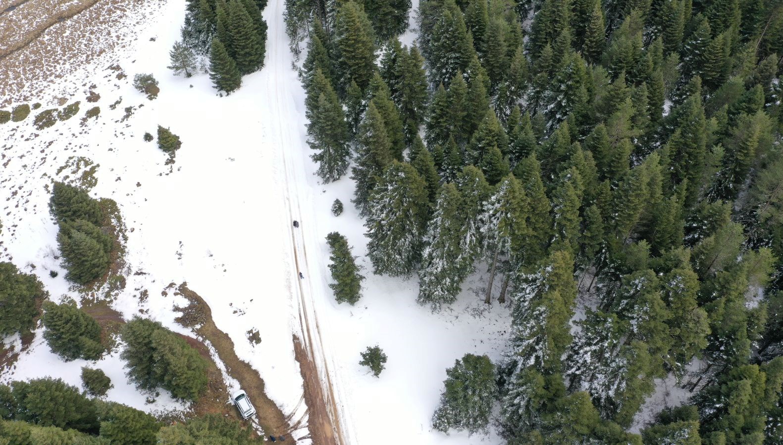Bolu'da İlkbahar ve Kış Birbirine Karışıyor! 71 boluda ilkbahar ve kis bir ortada yasaniyor ISImbjBr