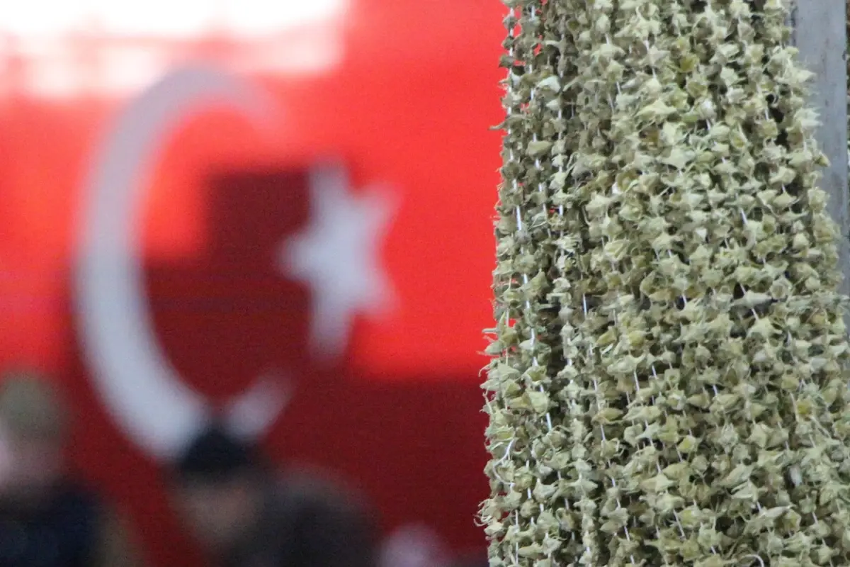 bu cicegin fiyati altini solladi