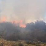 calilik yangininda 500 metrekare alan ziyan gordu YwJicDOC