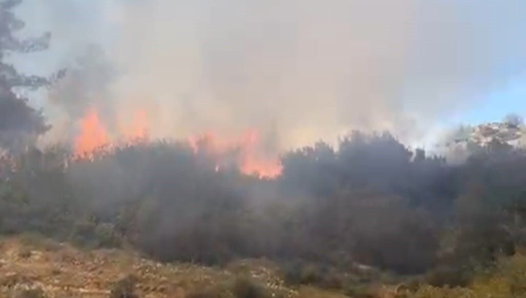 Wildfire Scorches 500 Square Meters of Brushland 71 calilik yangininda 500 metrekare alan ziyan gordu YwJicDOC