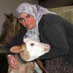 cankirida bayan hayvanci zorluklara karsin ailesi icin cabaliyor s5HRkY9S