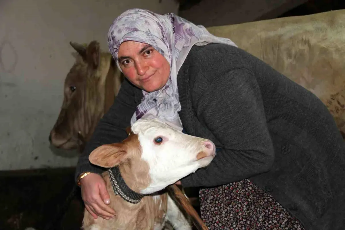 cankirida bayan hayvanci zorluklara karsin ailesi icin cabaliyor s5HRkY9S