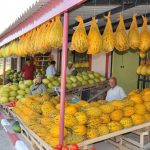 cet tohumuyla yetistiriliyor tadi rengi kokusu farkli abden cografik isaret tescili aldi M7fbUwHy