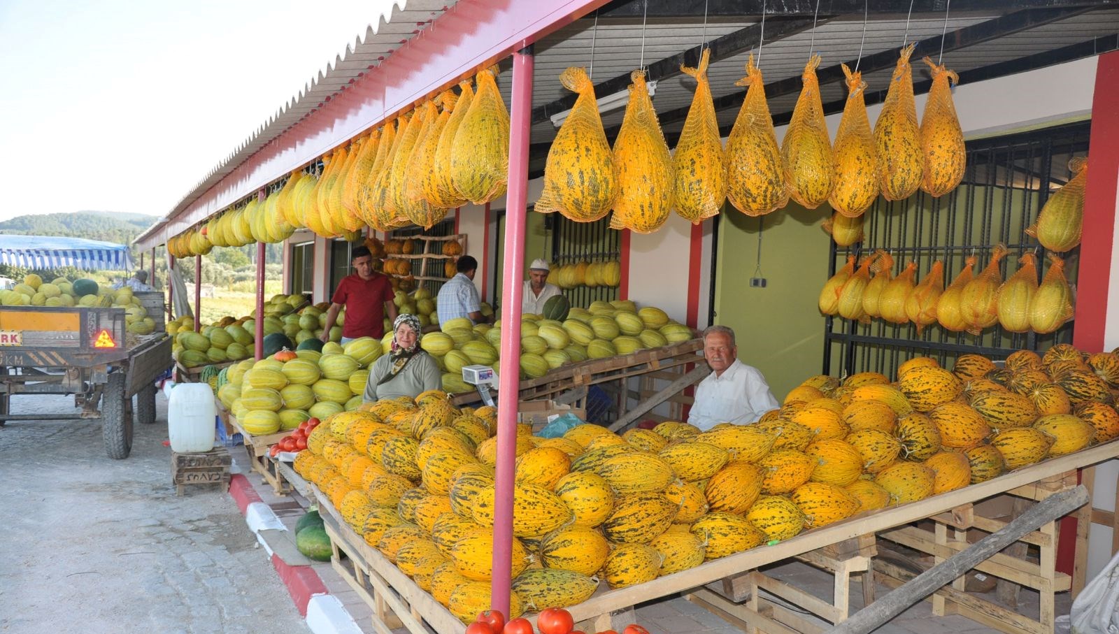 Keten Tohumu Mucizesi: Coğrafi İşaretle Tescilli Lezzet, Renk ve Koku Şöleni! 71 cet tohumuyla yetistiriliyor tadi rengi kokusu farkli abden cografik isaret tescili aldi M7fbUwHy