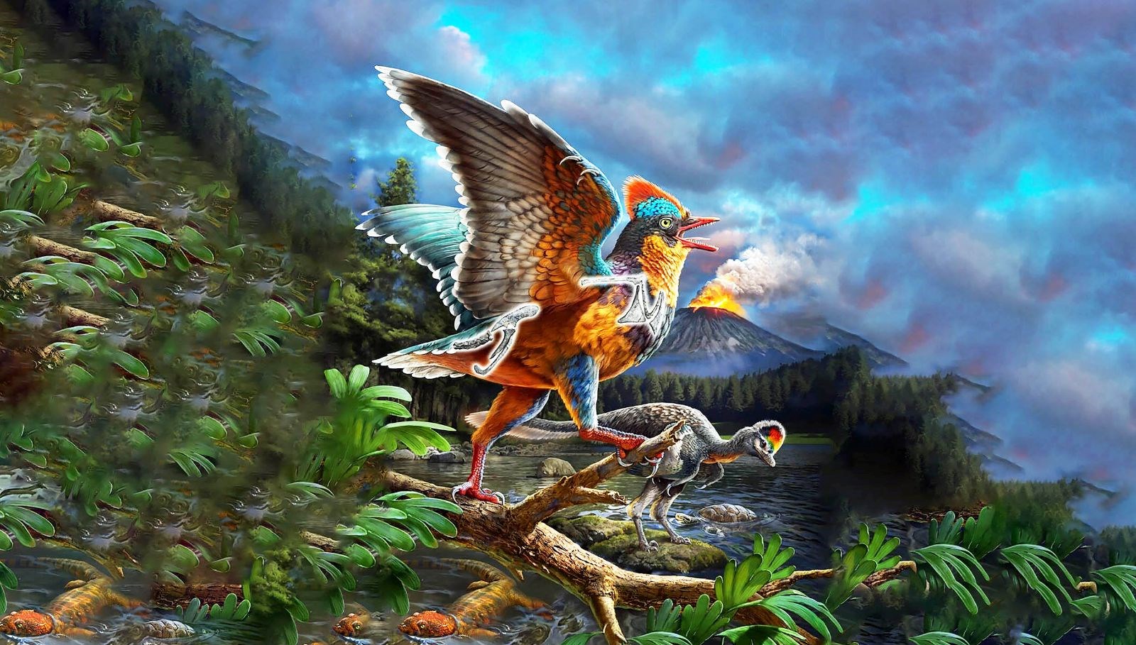 cinde 149 milyon yillik kus fosili kesfedildi