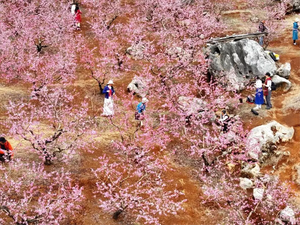 Çin'de Bahar Ruhunu Uyandırmak 71 cinde ilkbahar coskusu VFppprbL