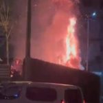 cocuk parkinda yangin panigi atilan torpil agaclari yakti ufsGA21J