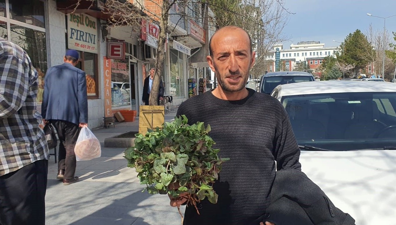 Konuk Düzbag'ı Kendi Projelerinizde Kullanmak: Yaratıcılığınızı Serbest Bırakmanın Anahtarı mı? 71 daglardan toplandi tezgahta yerini aldi seker tansiyon bagirsak hastaliklarina duzgun geliyor KTiP8m1s