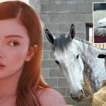 danla bilicin basi eski jokey sevgilisiyle kederde PUBCT3ns