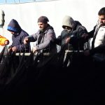 denizlerde hamsi bitti tekneler erken paydos etti yQWY4Pue