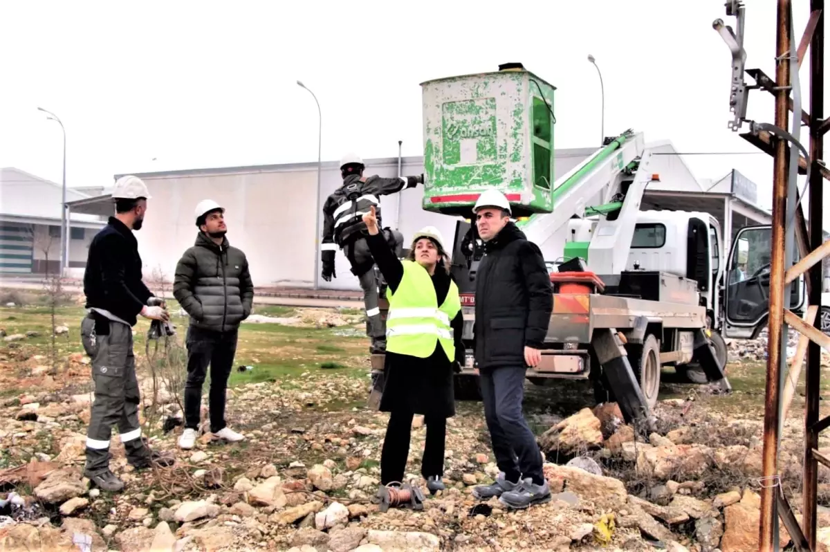 dicle elektrikte bayan yoneticiler artiyor ZEAmT11F