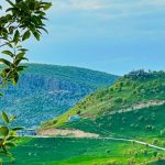 diyarbakirda baharin ahengi goz kamastirdi TTOKeN9y