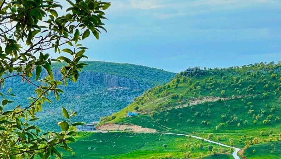 diyarbakirda baharin ahengi goz kamastirdi TTOKeN9y