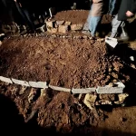 diyarbakirda kayip olarak araniyordu batmanda meyyit bulundu 8LFkRMqA