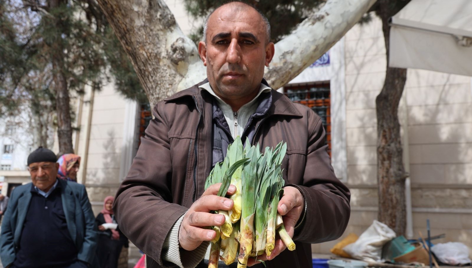 Doğanın Antibiyotiği 100 TL: Şifaya Çağrı! 71 dogal antibiyotik tezgahta yararini biline kilosu 100 tlden aliyor DYK7gVB4