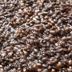 dogal cilt temizleyici chia tohumu maskesi HXpFppPk