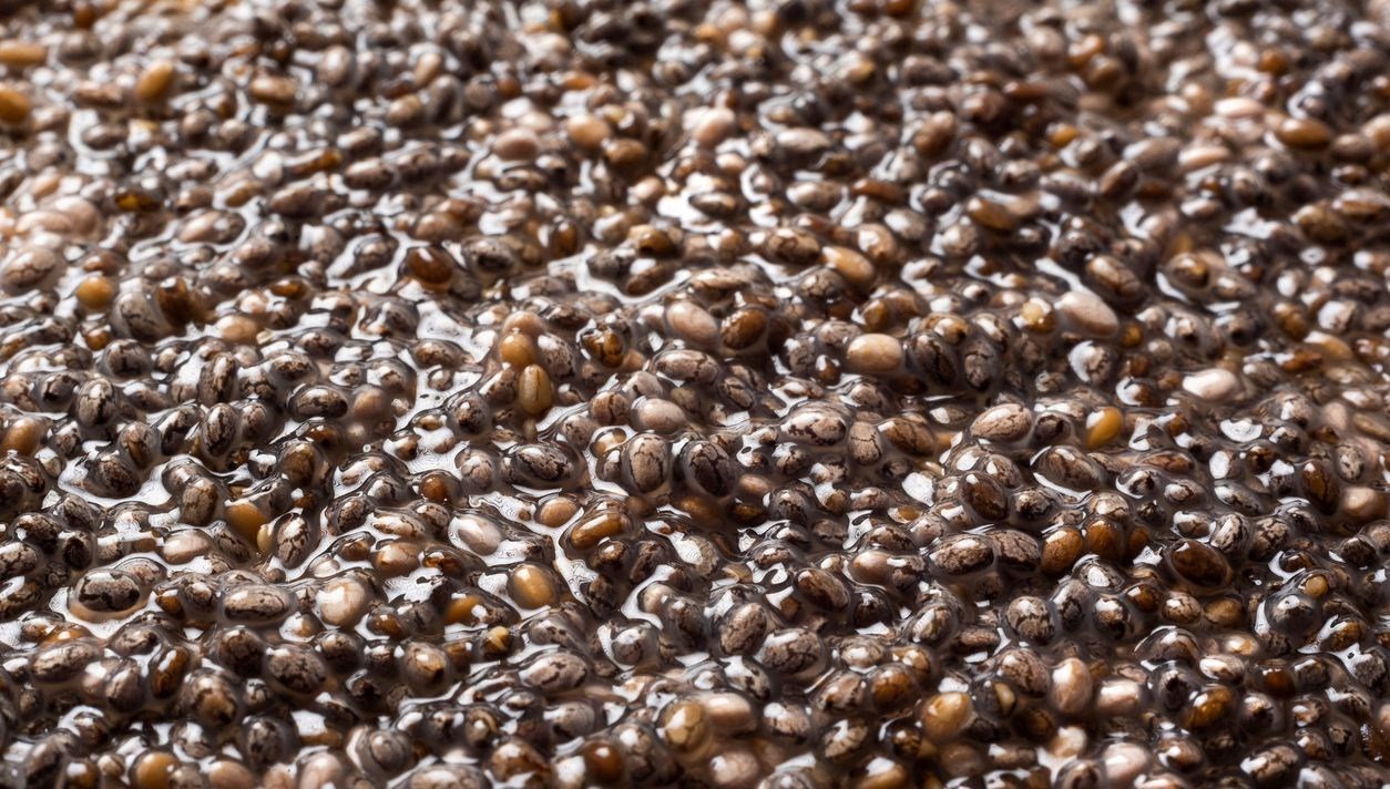 dogal cilt temizleyici chia tohumu maskesi HXpFppPk