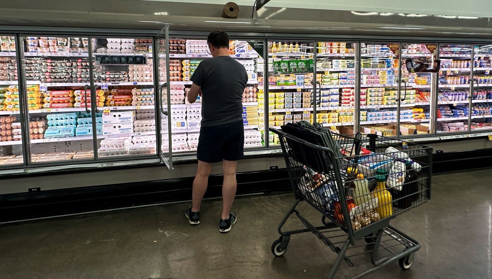 dunyada besin fiyatlari artti seker bitkisel yaglar ve sut eserleri agir basti EbUGk8NE