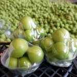 erikte birinci hasat yapildi kilosu cep yakiyor a3ZxGsle