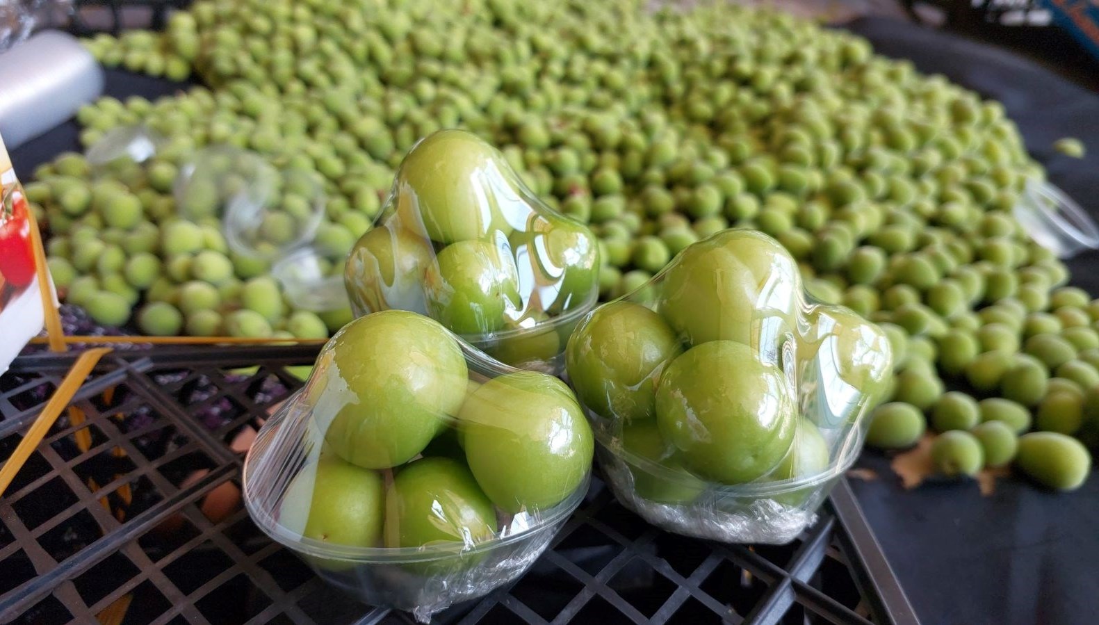 erikte birinci hasat yapildi kilosu cep yakiyor