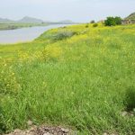 ermenistan askerlerinden ateskes ihlali azerbaycan mevzilerine ates actilar DNQJCVSP