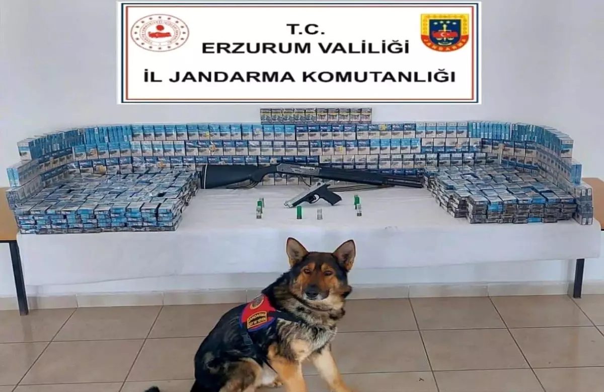 erzurumda kacakciliga gecit yok