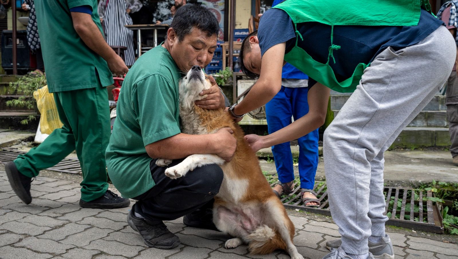 Filipinlerde Kuduz Tehlikesi: 2024'te Yüzlerce Can Kaybı 71 filipinlerde kuduz alarmi 2024te 426 kisi oldu apL5h8X2