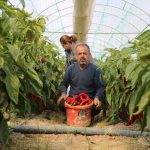 fiyati 50 liraydi artik 80 tlden satiliyor yuzde 50 oraninda fiyat farki var 9EDUrO18