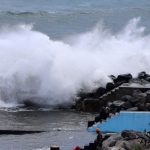 fransada olumcul firtina agaclarin altindan cansiz vucut cikardilar PEpEAlX4