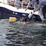 gemlikte dev orkinos yakalandi u6kyt18v